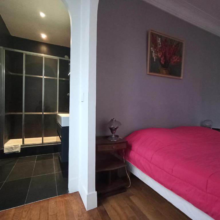 Paris 6th Cultural Apartment in Saint Germain des Pres - Appartement 1 Chambre - 16