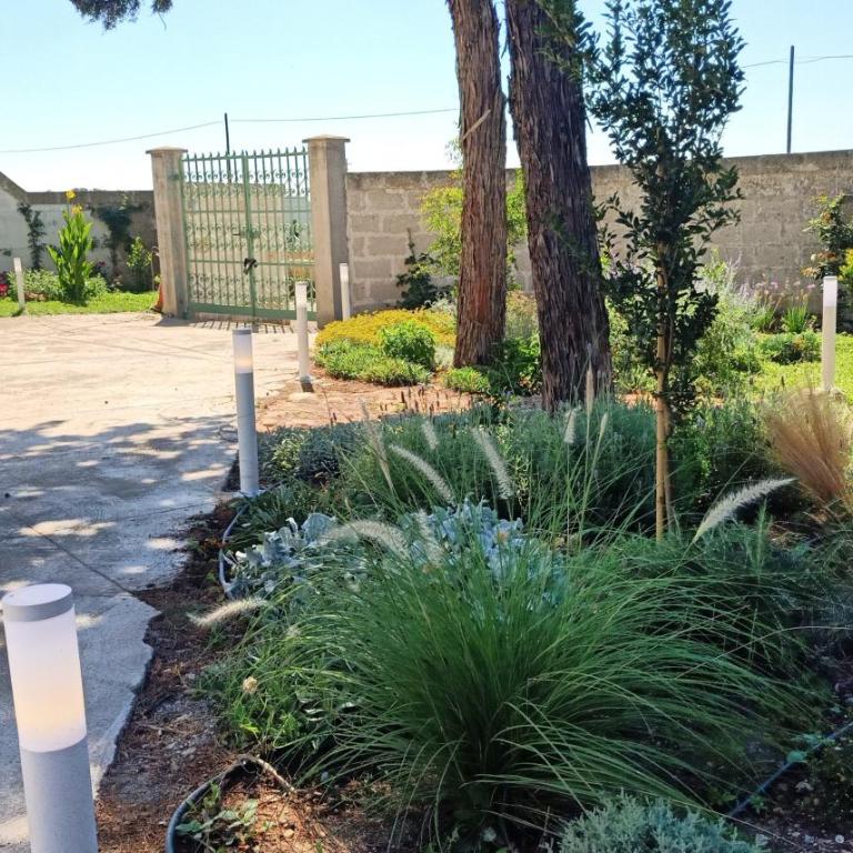 Appartamento in masseria a Porto Cesareo - Appartamento con 2 Camere da Letto - 18