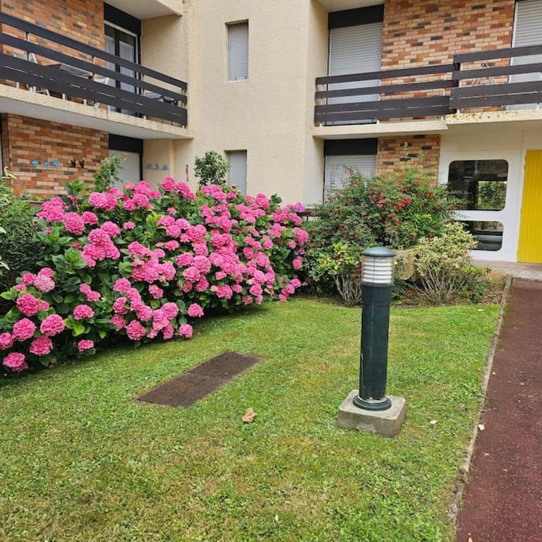 Convivialité agréable séjour au calme - One-Bedroom Apartment - 19