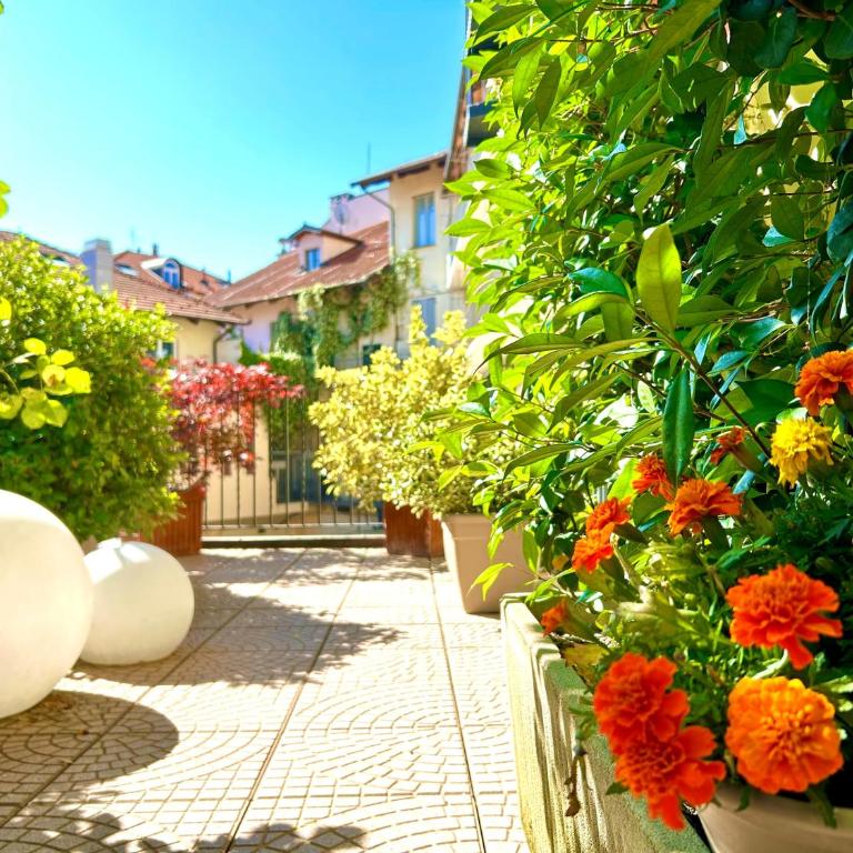 Alba Suite - Appartamento - 19