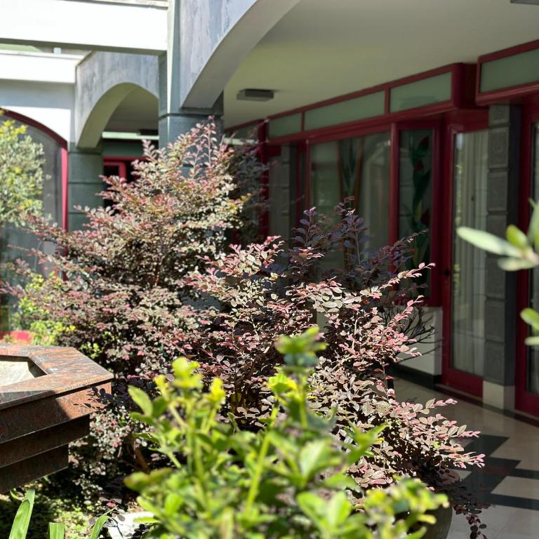 Central 25 - Apartman sa 1 Spavaćom Sobom - 4