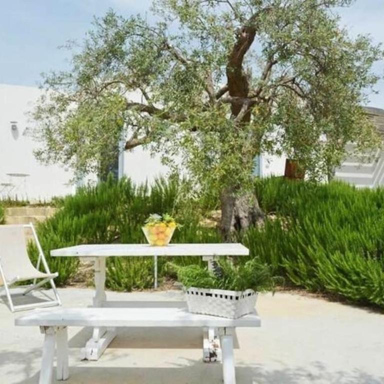 Villa il Cavaliere vista Mare Mozzafiato - Villa con 3 Camere da Letto - 23