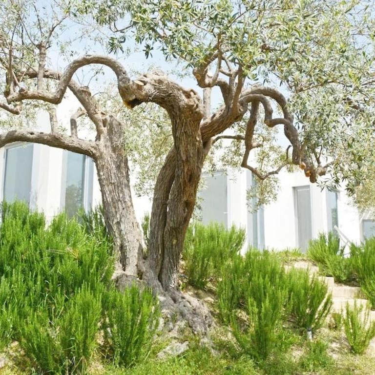 Villa il Cavaliere vista Mare Mozzafiato - Villa con 3 Camere da Letto - 25
