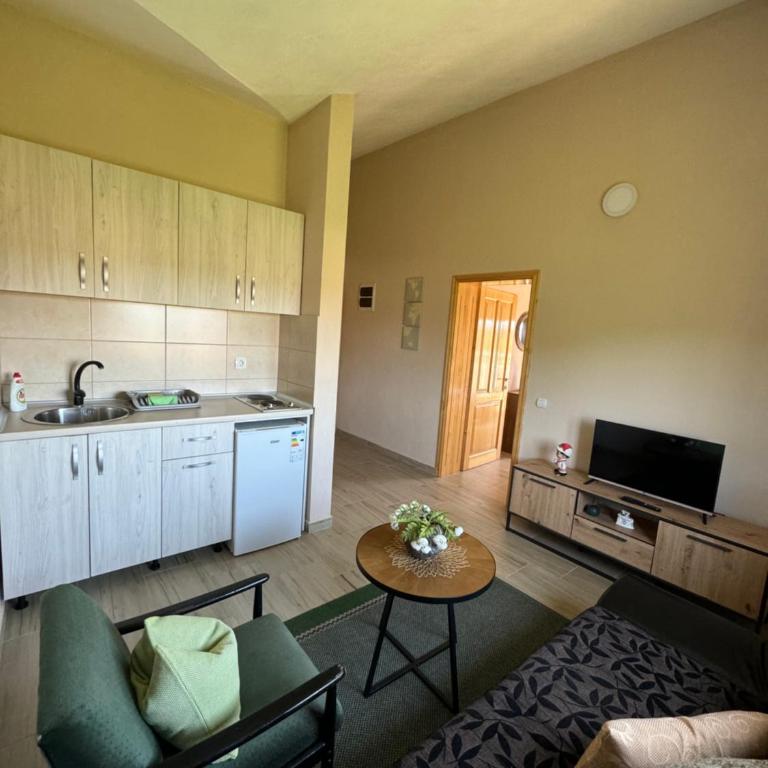 Sunrise house apartments - Deluxe Apartment - 11