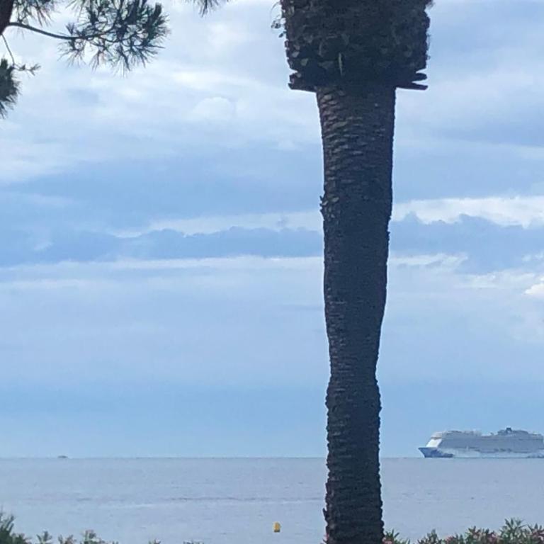 Cannes Terrace Beach Front & Sea view - Apartment mit Terrasse - 61