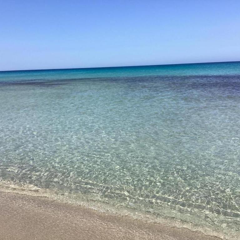 Il delfino - Vacation Home - 18