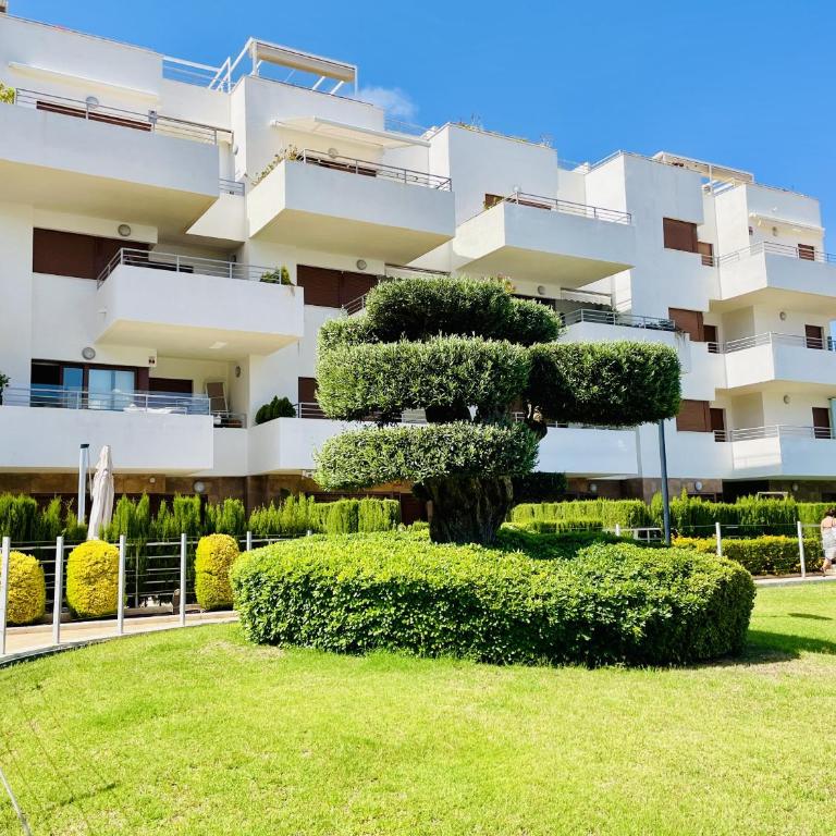 3096 Terrazas de Campoamor - Apartamento - 35