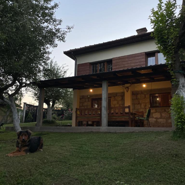 Vikendica Paša - Two-Bedroom House - 21