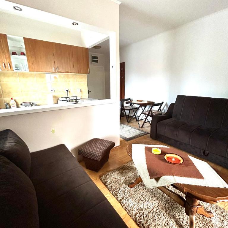 Banjski cvet - Apartman sa 1 Spavaćom Sobom - 1