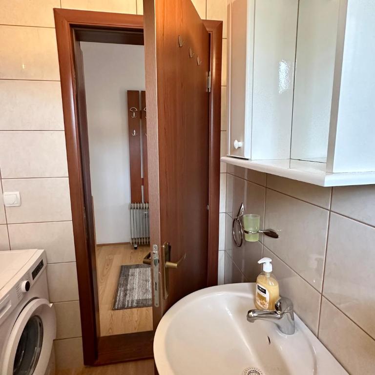 Banjski cvet - Apartman sa 1 Spavaćom Sobom - 7