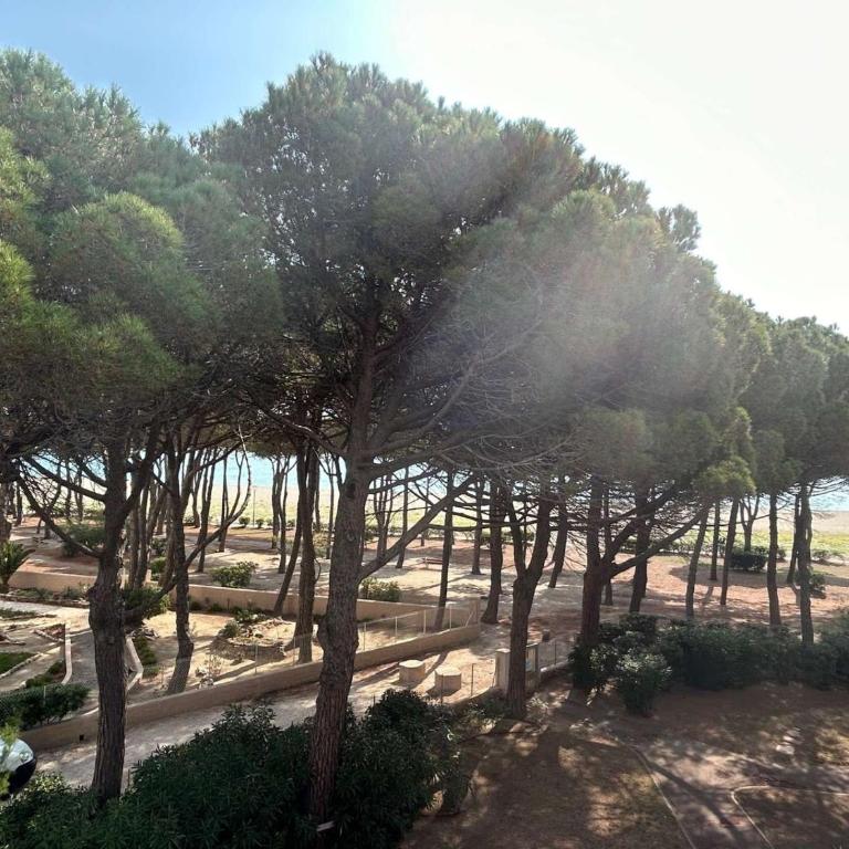 Appartement 2 pièces 5 couchages ARGELES SUR MER AR630-005 - Appartamento con Vista - 13