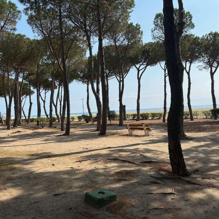 Appartement 2 pièces 5 couchages ARGELES SUR MER AR630-005 - Appartamento con Vista - 17