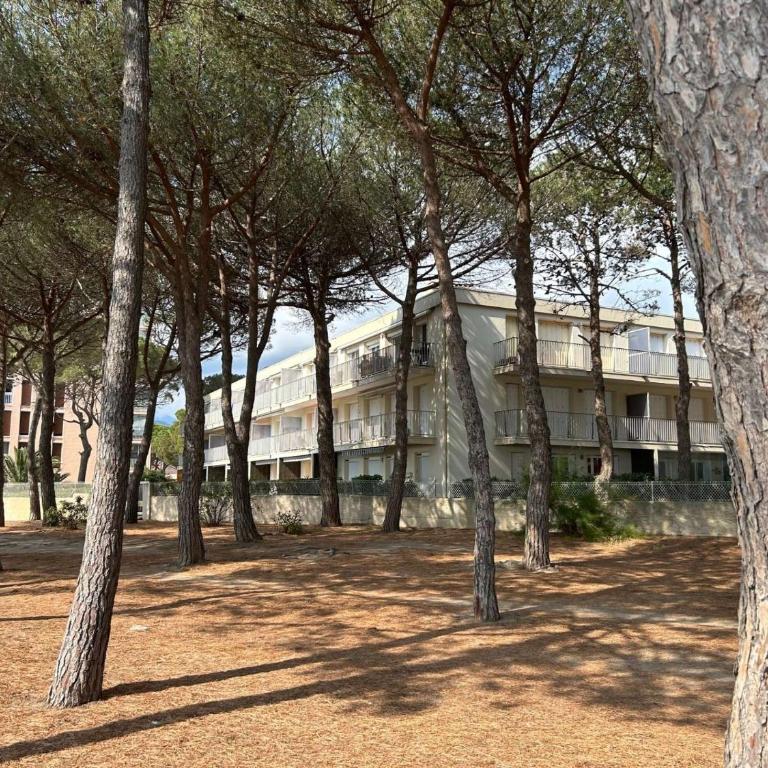 Appartement 2 pièces 5 couchages ARGELES SUR MER AR630-005 - Appartamento con Vista - 19