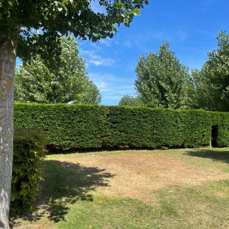 Bontempo Village La Yole - Emplacement de Camping Vide (Tente non Fournie) - 1