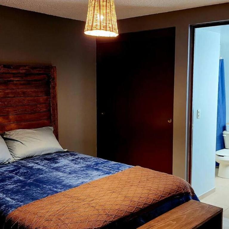 Amplio Departamento Roma Norte - Three-Bedroom Apartment - 2