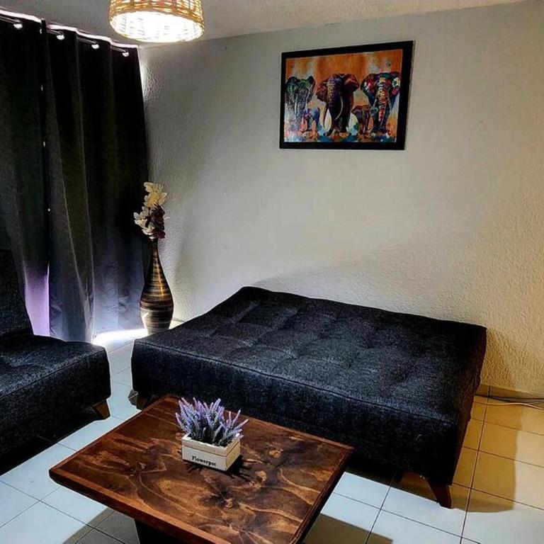 Amplio Departamento Roma Norte - Three-Bedroom Apartment - 22