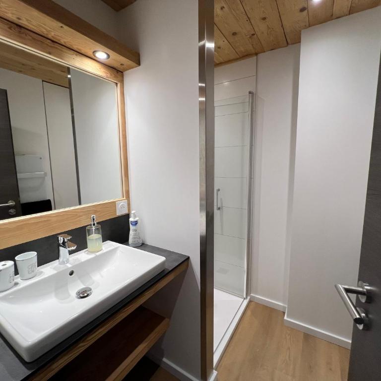 Superbe appartement neuf avec Sauna privé & Terrasse vue sur la montagne - Appartement 2 Chambres - 13