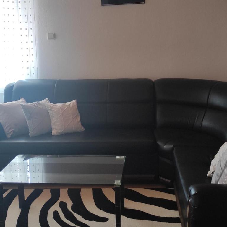 Šumska Vila - Apartman sa 1 Spavaćom Sobom - 4
