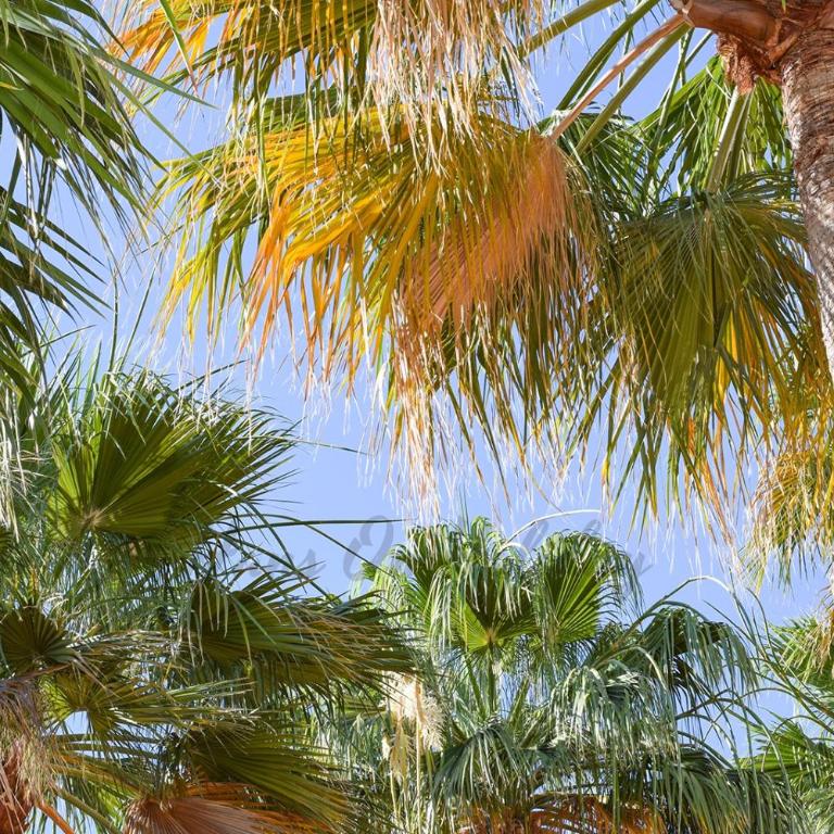 La Fuente APT 4, Frigiliana Amazing 3 bedroom 2 bthroom Family Apartment with views, Padel Court and 2 Pools HansOnHoliday Rentals - Apartamento de 3 dormitorios - 35
