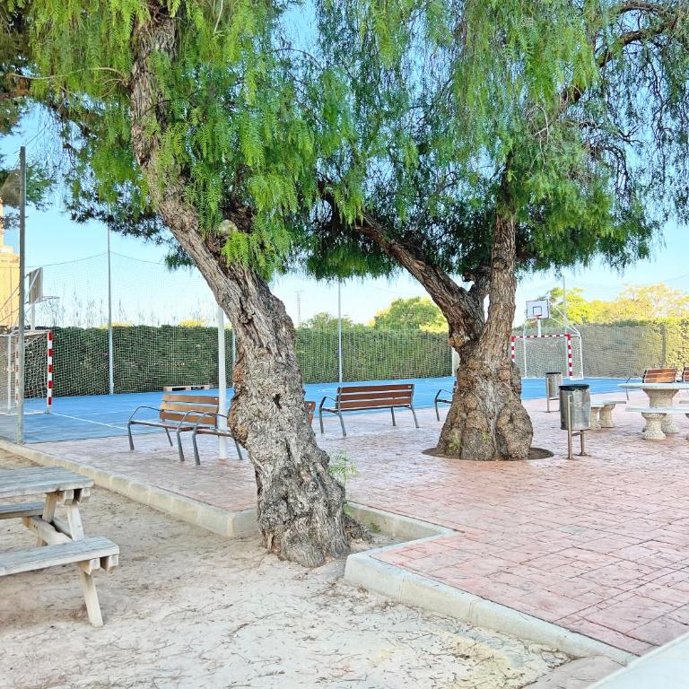 Coqueto con PISCINA, nuevo a 50m del mar, Parking Gratis OBRAS DE CONSERVACION EN FACHADA DE ENERO A 31 MAYO 2026 - Apartamento de 2 dormitorios - 67