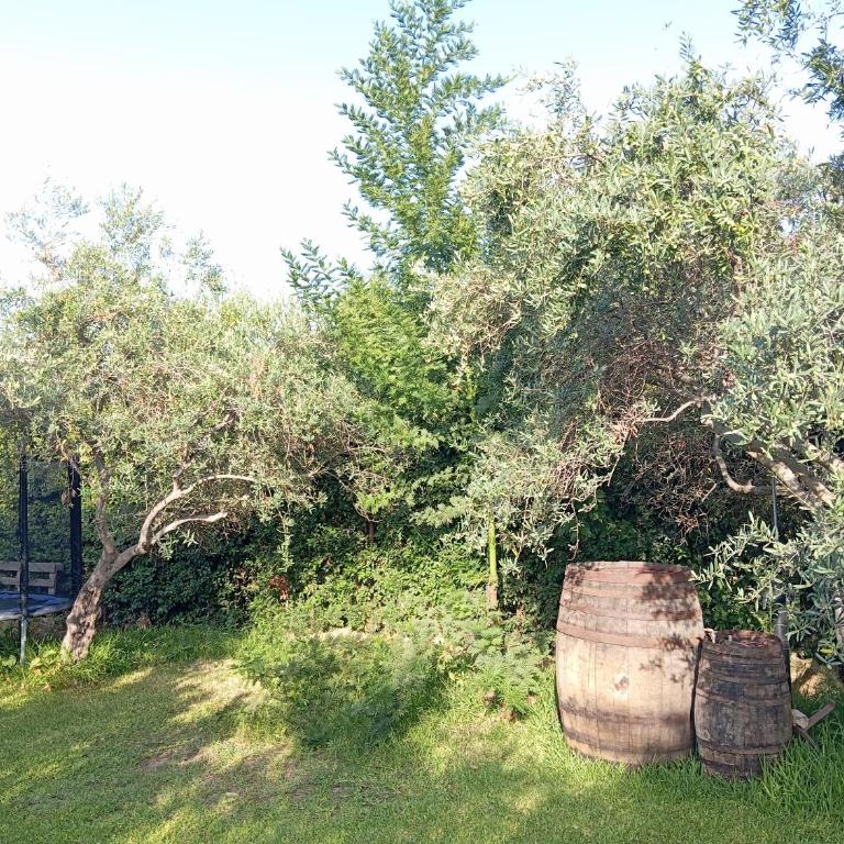 Ai tre desideri la casita - Casa con 1 Camera da Letto - 52