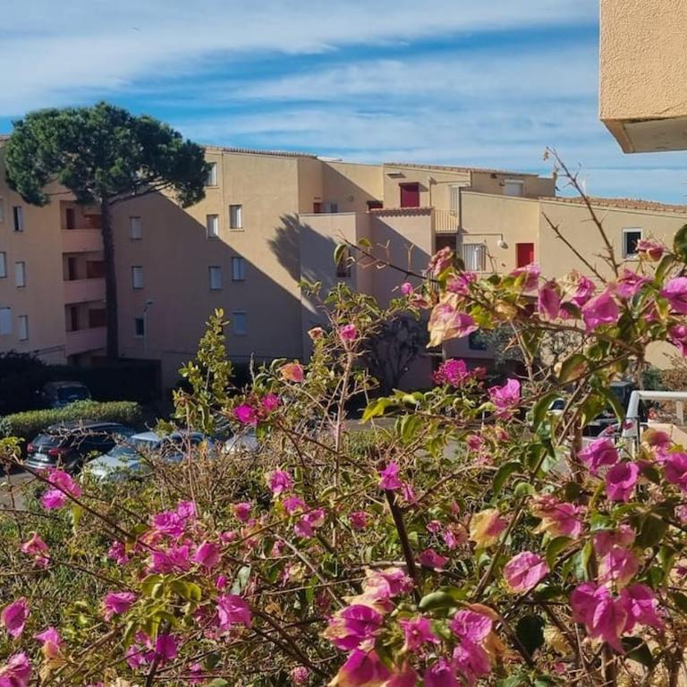 résidence privée à Sète, Corniche - Appartement 1 Chambre - 1