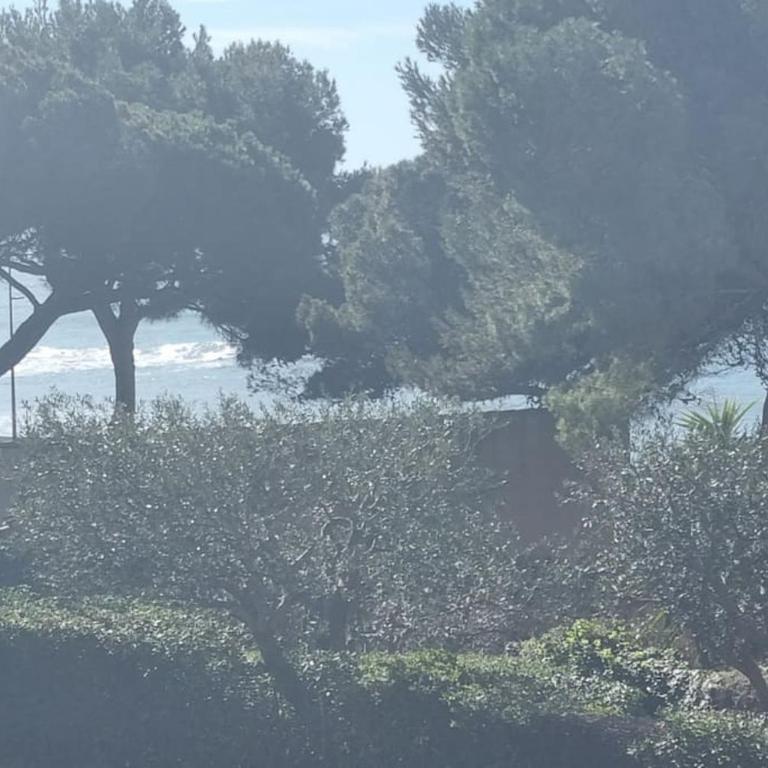 résidence privée à Sète, Corniche - Appartement 1 Chambre - 3