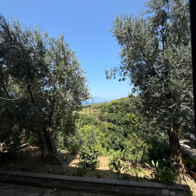 Villa Rosmary - One-Bedroom Apartment - 24
