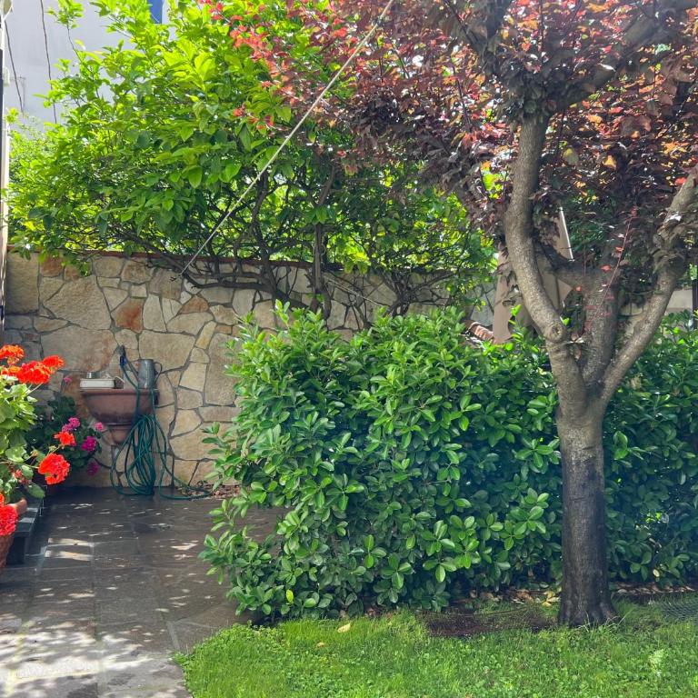 Casa Sandra Appartamento a 100 mt dal mare - Appartamento con 1 Camera da Letto - 3