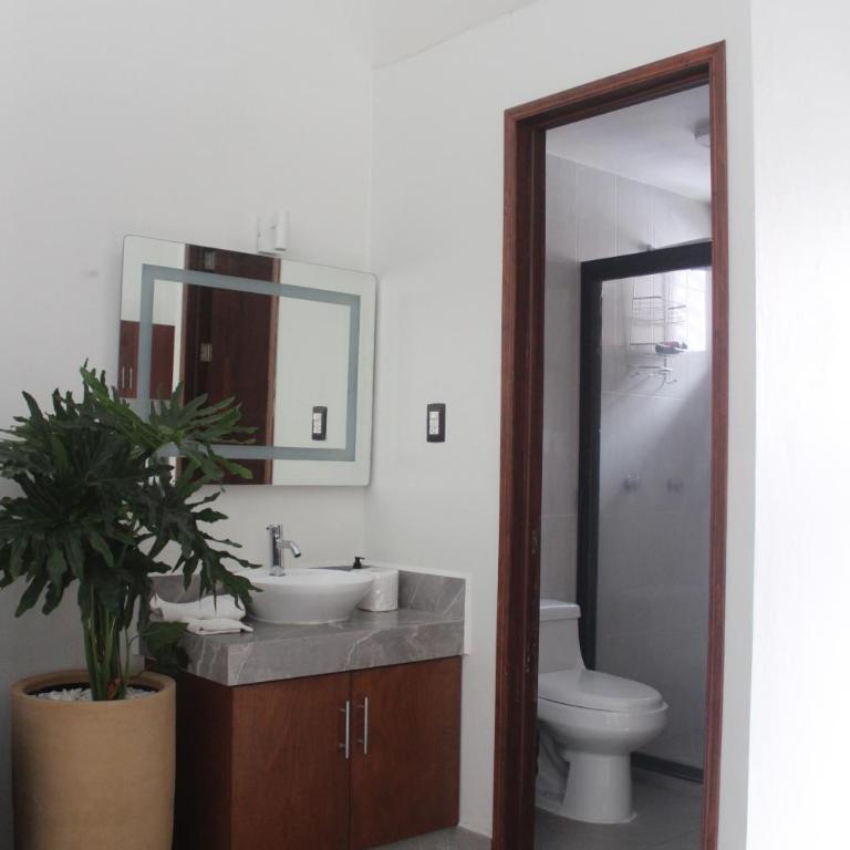 Suites Independencia Oaxaca - Loft - 13