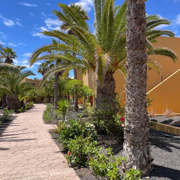 B-Rent Casa Angela pool view - Apartamento de 1 dormitorio - 6