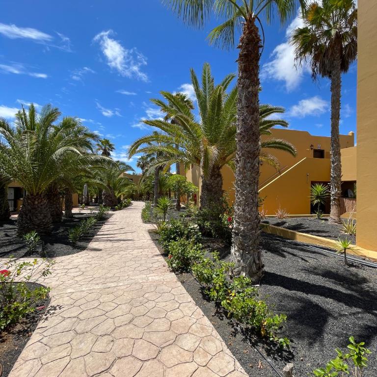 B-Rent Casa Angela pool view - Apartamento de 1 dormitorio - 51