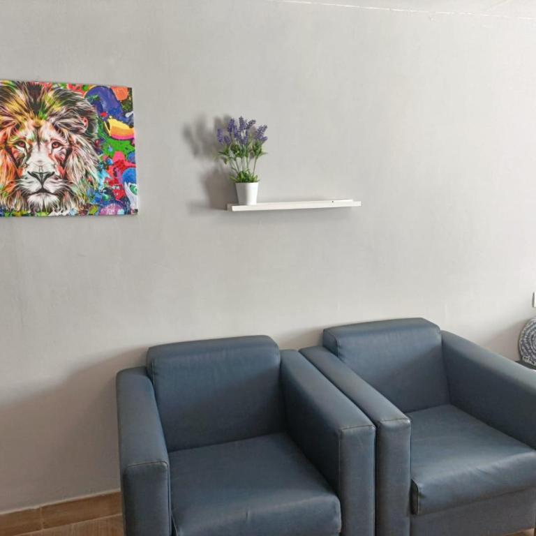 La Rueda, campo y playa en el Medano - Loft - 13