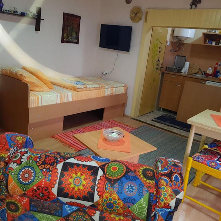 Apartman i Studio Stefan Nemanja Sokobanja - Studio sa Balkonom - 16