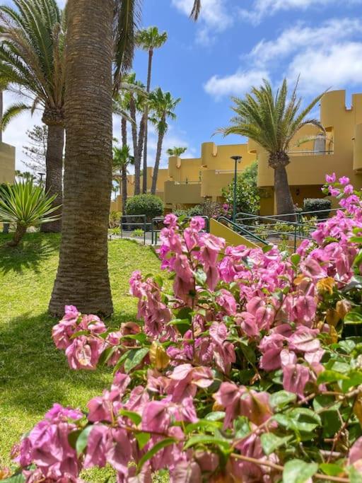 B-Rent Atlantic Garden Sunbeach - Apartamento de 1 dormitorio - 16