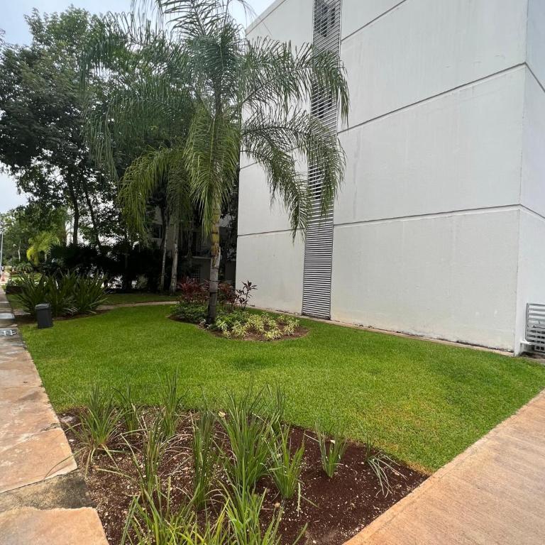 Luxury planta baja en Playa del Carmen - Appartement 3 Chambres - 14