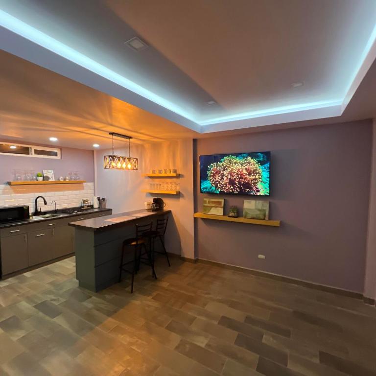 Premier Apartment Ensenada - Apartamento de 1 dormitorio - 1