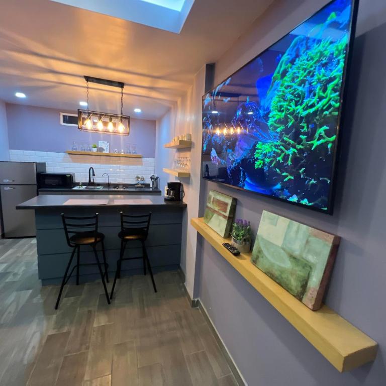 Premier Apartment Ensenada - Apartamento de 1 dormitorio - 30