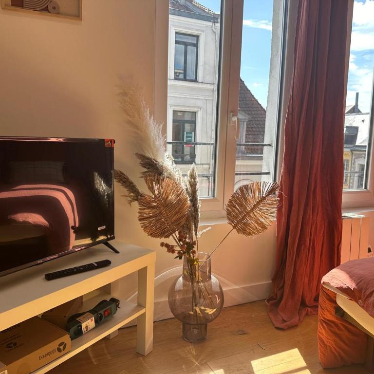 LeRelaisdOdile - Appart Cosy au Vieux-Lille - Appartamento con 1 Camera da Letto - 7