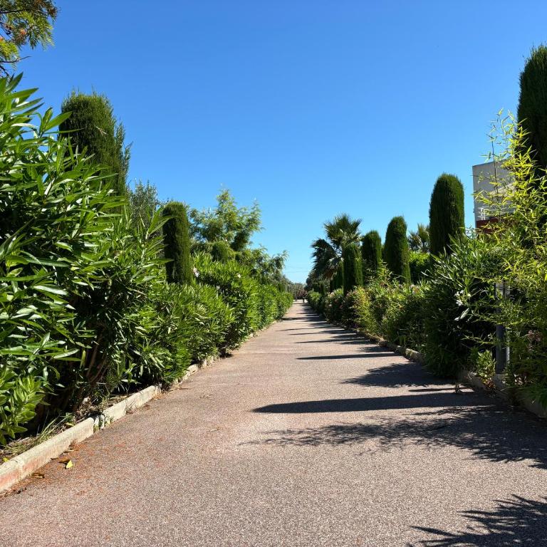 Beachside Apartment with Pool & Garden in Juan les Pins - Appartamento con 1 Camera da Letto - 14