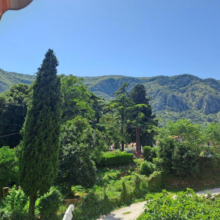 N&B Apartment Kotor - Apartman sa 2 Spavaće Sobe - 1