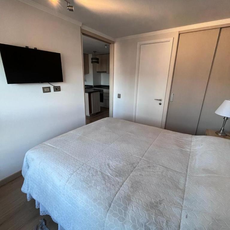 Viña del mar - Parque Jardín Botánico - One-Bedroom Apartment - 3