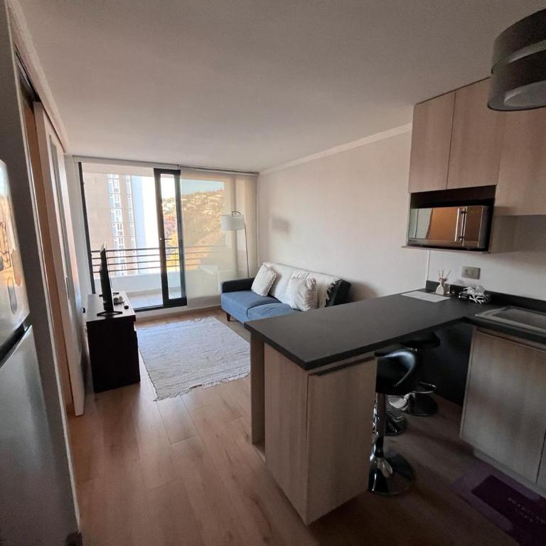 Viña del mar - Parque Jardín Botánico - One-Bedroom Apartment - 6