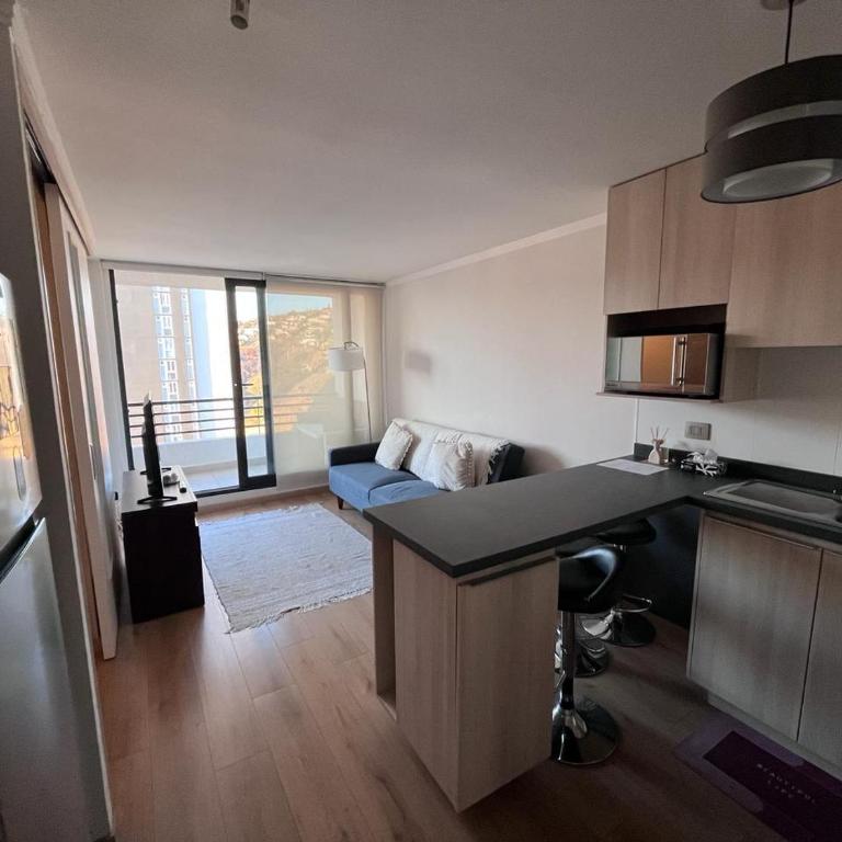 Viña del mar - Parque Jardín Botánico - One-Bedroom Apartment - 8