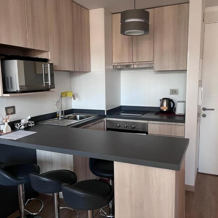 Viña del mar - Parque Jardín Botánico - One-Bedroom Apartment - 10