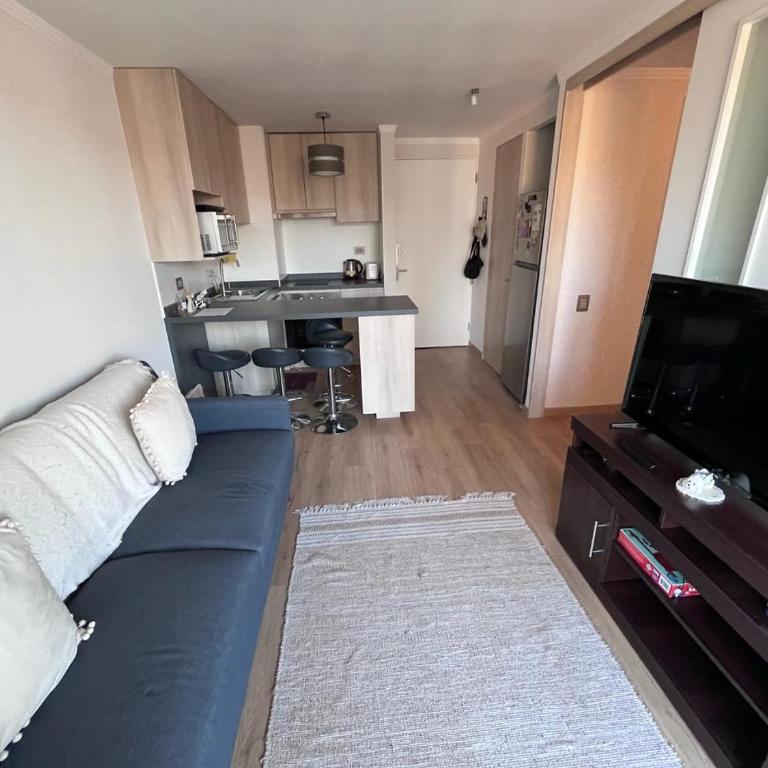 Viña del mar - Parque Jardín Botánico - One-Bedroom Apartment - 11