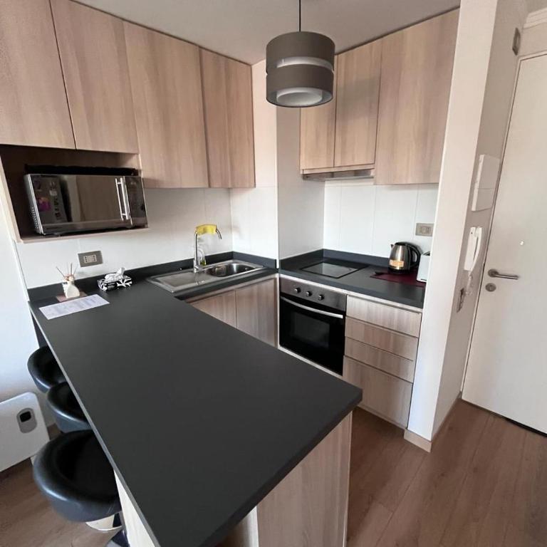 Viña del mar - Parque Jardín Botánico - One-Bedroom Apartment - 15