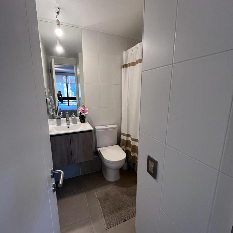 Viña del mar - Parque Jardín Botánico - One-Bedroom Apartment - 17