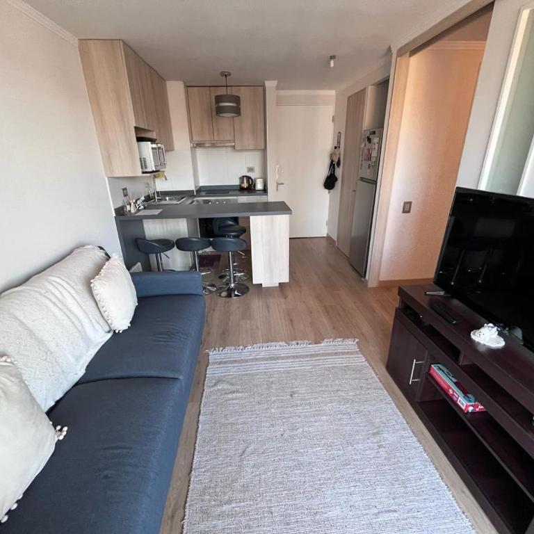 Viña del mar - Parque Jardín Botánico - One-Bedroom Apartment - 19