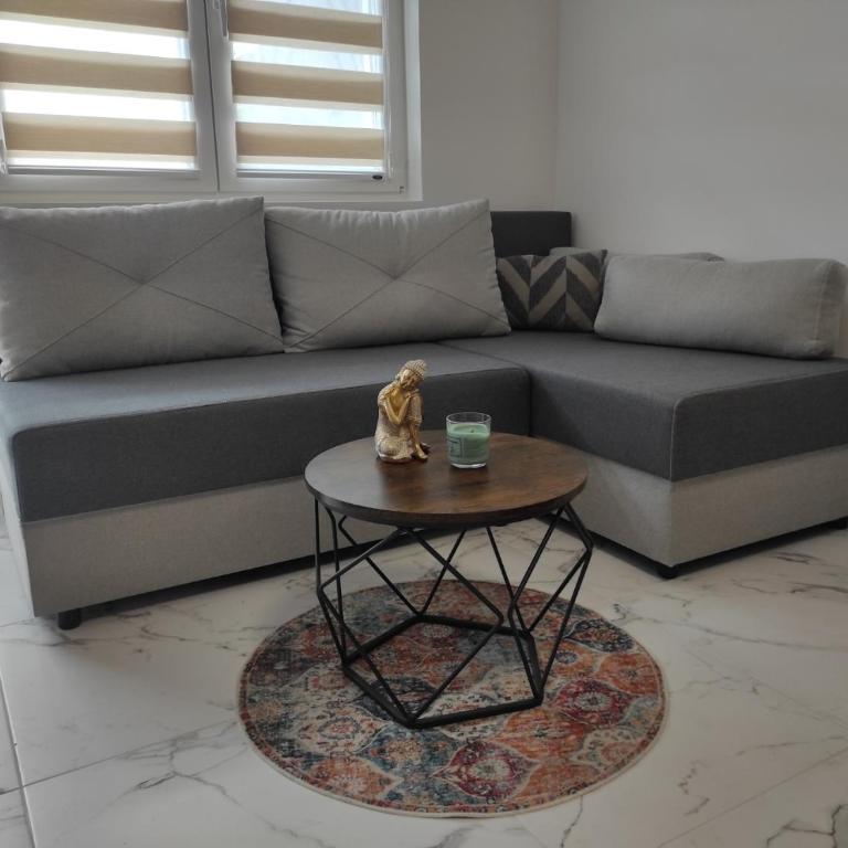 Cera exclusive apartment - Apartman sa 1 Spavaćom Sobom - 9
